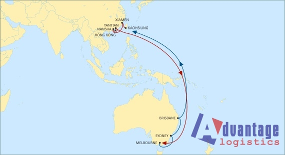 ONE, Maersk và MSC tạm dừng dịch vụ CAE: Trung Quốc-Úc do COVID-19