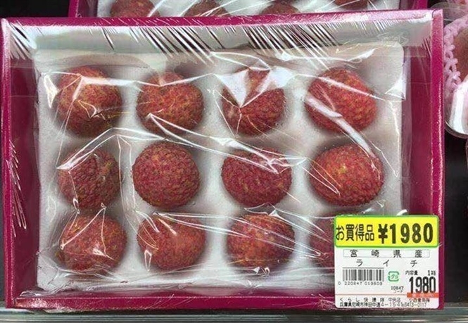 Việt Nam xuất khẩu vải thiều sang Nhật
