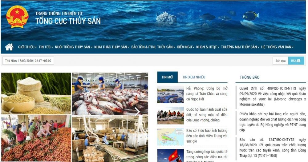 Tổng Hợp Các Website Hữu Ích Dành Cho Doanh Nghiệp Xuất Nhập Khẩu-2