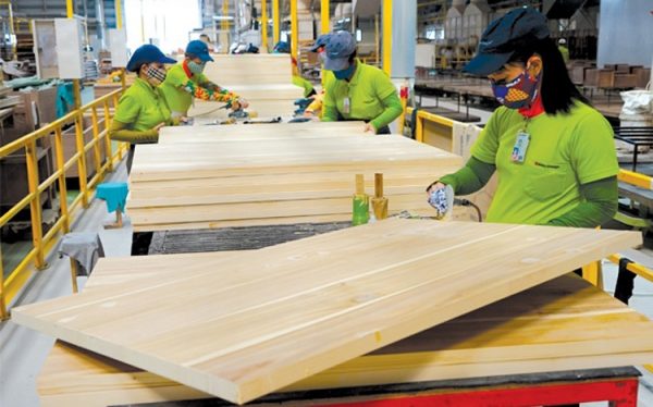 Đã có quy định gỗ hợp pháp, gỗ Việt "thẳng tiến" vào EU