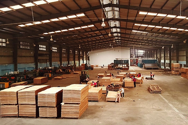 Đã có quy định gỗ hợp pháp, gỗ Việt "thẳng tiến" vào EU