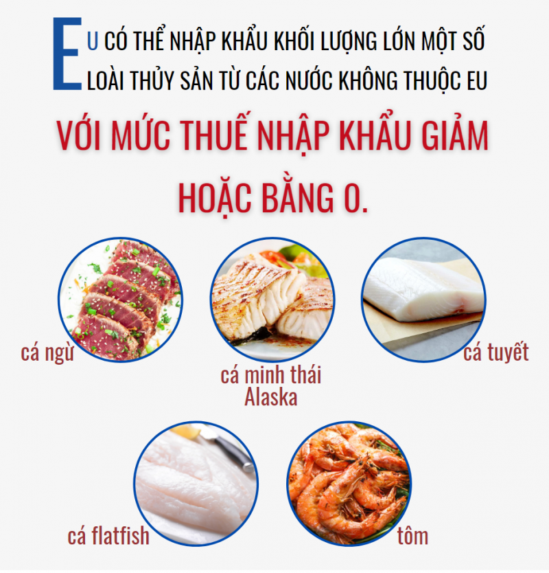 quy định mới về hạn ngạch thuế quan nhập khẩu thủy hải sản sang eu
