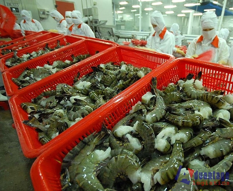 Xuất khẩu tôm sang EU đạt mức tăng trưởng khả quan
