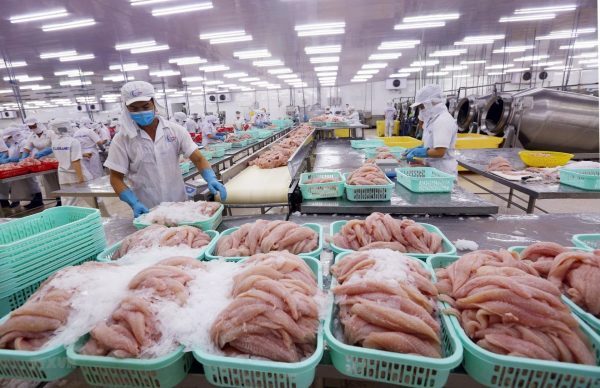 Những Điều Cần Biết Khi Nhập Khẩu Thủy Sản Vào Nhật Bản