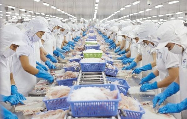 Những Điều Cần Biết Khi Nhập Khẩu Thủy Sản Vào Nhật Bản 5