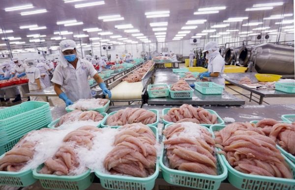 Cảng Trạm Giang đã dỡ bỏ các hạn chế đối với nhập khẩu thủy sản