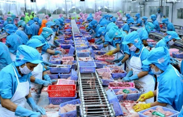 quy định xuất khẩu thủy sản sang EU
