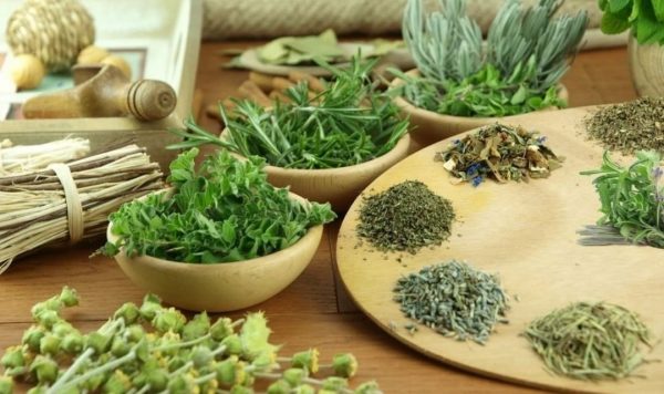 Quy định khi xuất khẩu hàng hoá sang EU