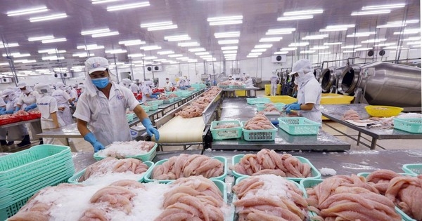 52 Lô Hàng Thủy Sản Xuất Khẩu Việt Nam Bị Trung Quốc Trả Về