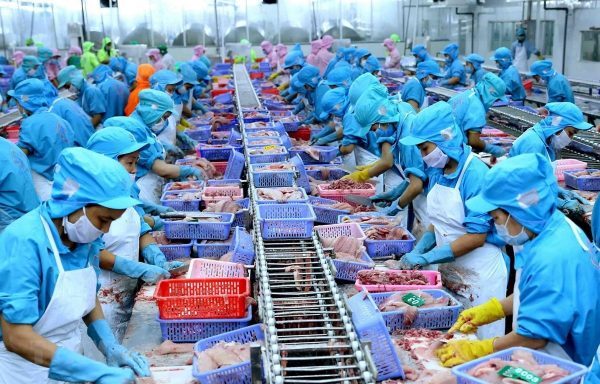 Thủy Sản Xuất Khẩu