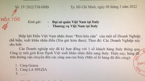 công văn xuất khẩu điều