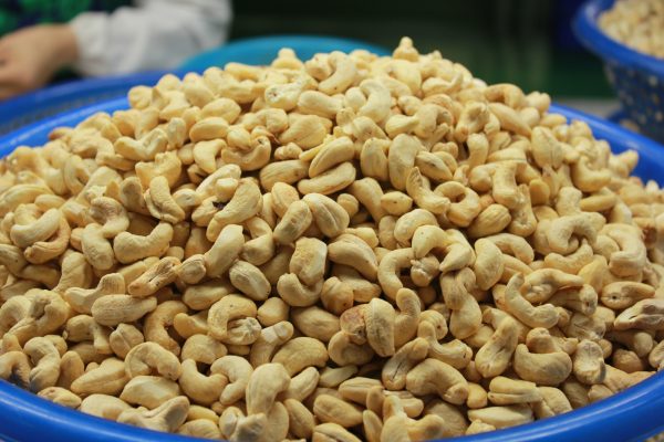 điều xuất khẩu