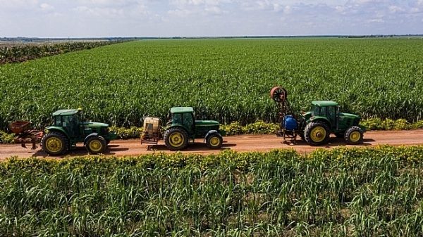 nhập khẩu đường từ Thái Lan