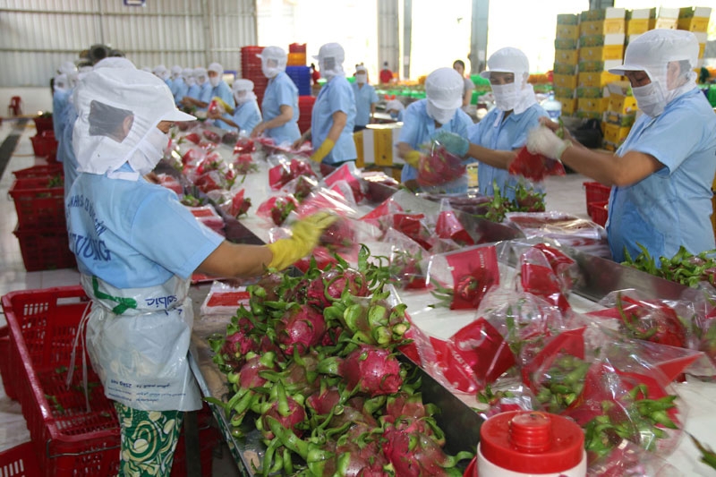 nông sản Việt xuất khẩu
