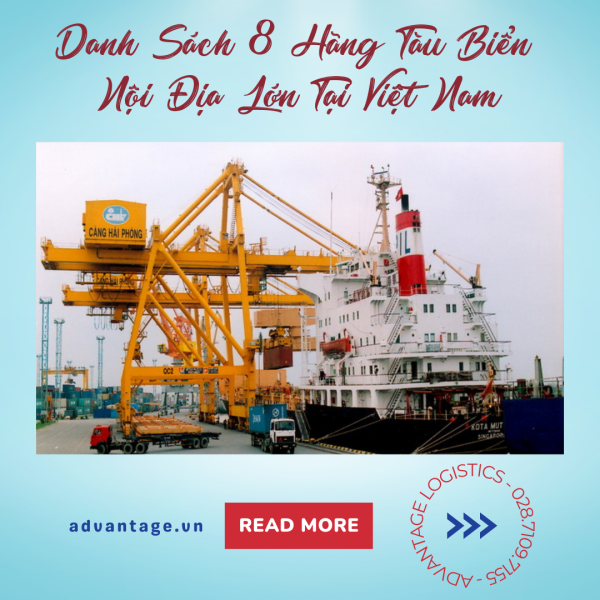 Các hãng tàu nội địa