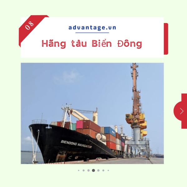 Hãng tàu Biển Đông