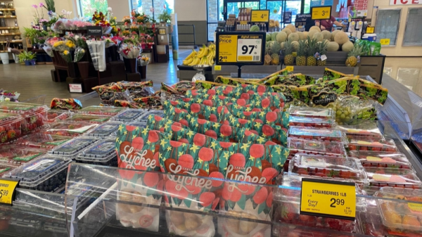 quavaivietnam + advantage