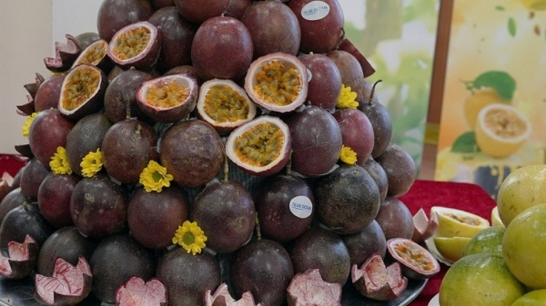 chanh leo Việt Nam