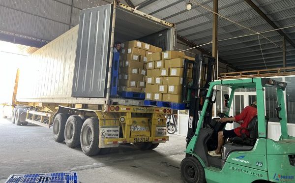 Dịch vụ vận tải nội địa và quốc tế_Advantage