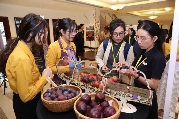 Mận xuất khẩu - Advantage Logistics