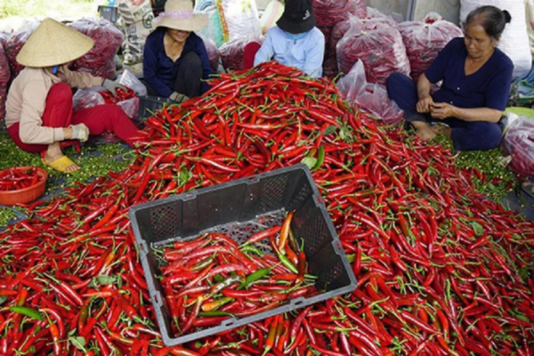 xuất khẩu nông sản