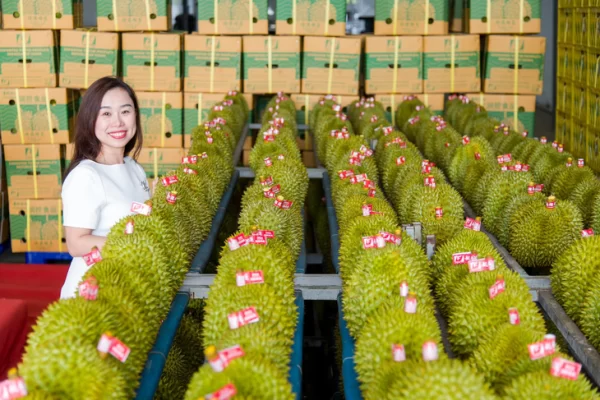 sau-rieng-advantage-logistics (2)