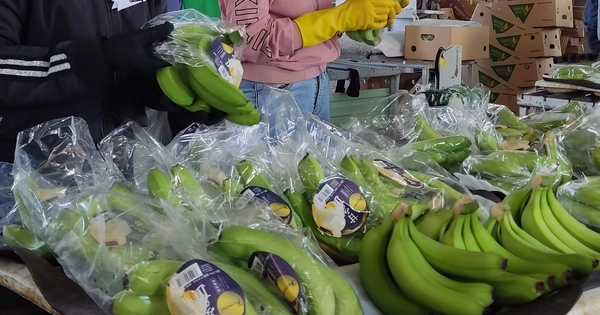 chuoi-xk-nb-advantage-logistics