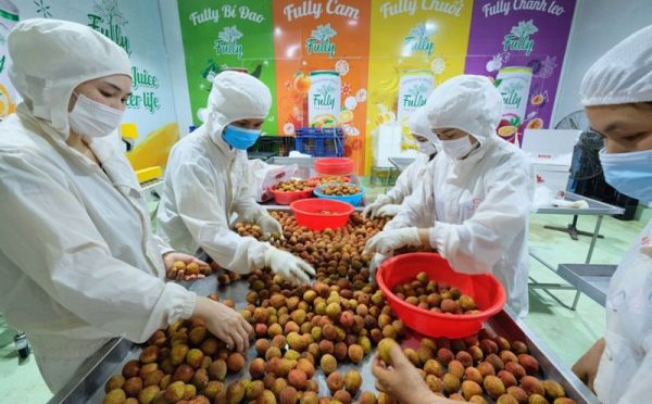 Xuat-Khau-Nong-San-advantage-logistics