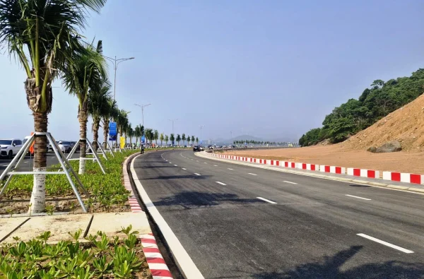 cảng container - Advantage Logistics