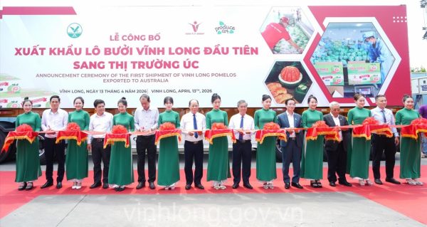 xuất khẩu bưởi da xanh - Advantage Logistics