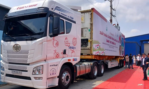 xuất khẩu bưởi sang Úc - Advantage Logistics