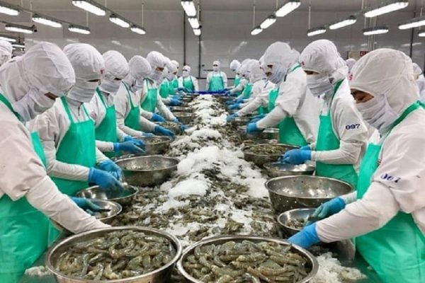 Doanh Nghiệp Thủy Sản - advantage logistics
