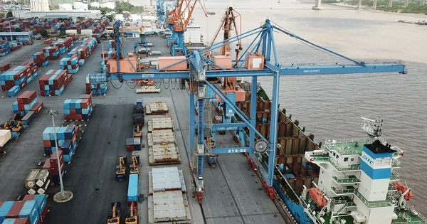 cuoc-tau-bien-co-xu-huong-tiep-tuc-tang-va-mo-rongdao-ngoc-thach-advantage-logistics