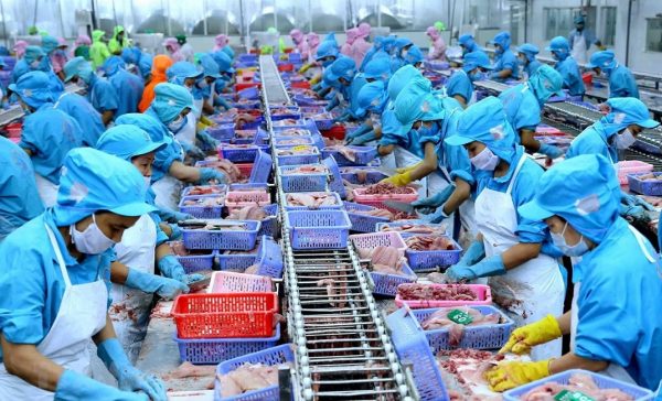 xuat-khau-thuy-san-advantage-logistics