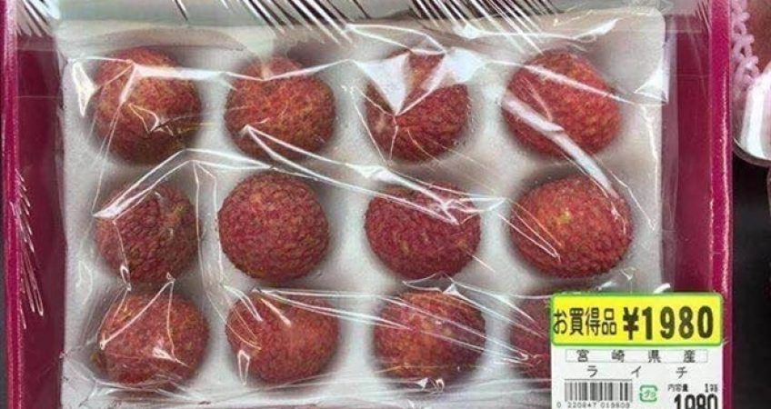 Việt Nam xuất khẩu vải thiều sang Nhật
