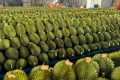 Cơ Sở Đóng Gói Nông Sản - advantage Logistics