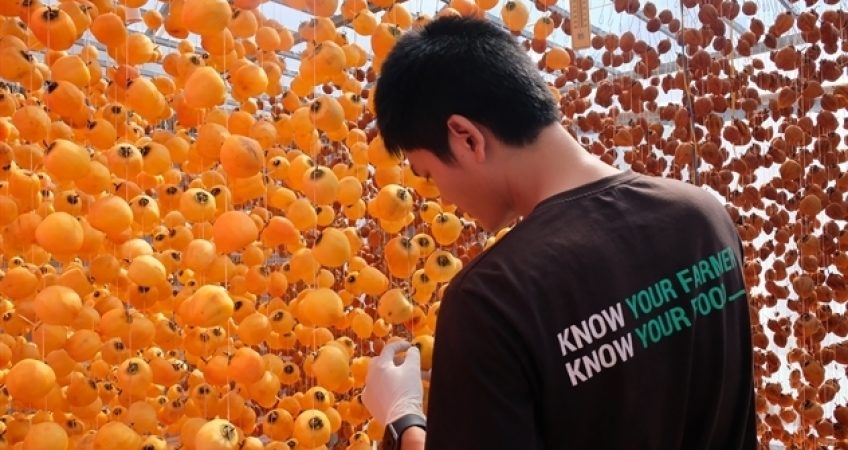 FoodMap Vẽ Bản Đồ Nông Sản Việt