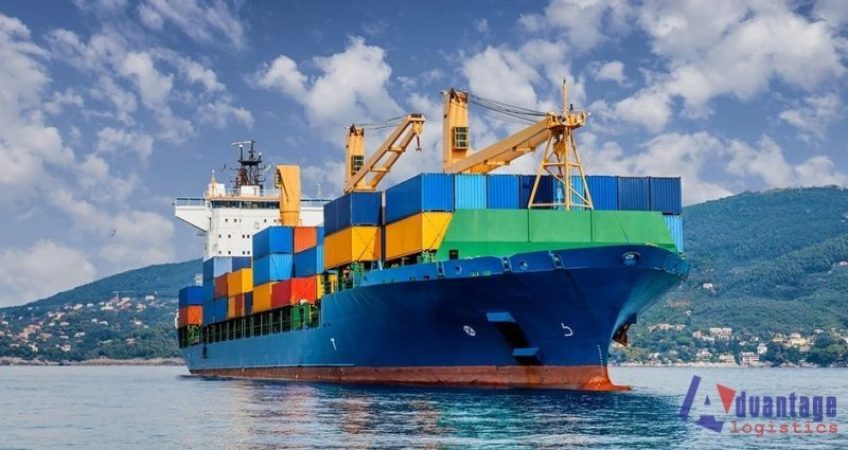 Những Điều Cần Lưu Ý Khi Lần Đầu Nhập Khẩu