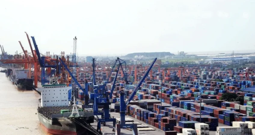 Thuế VAT Đang Ảnh Hưởng Đến Xuất Khẩu Nông Sản - Advantage Logistics