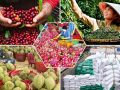 Triển Khai Đồng Bộ Mã Đơn Vị Hải Quan Trên Toàn Quốc - advantage logistics