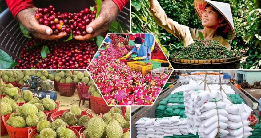 Triển Khai Đồng Bộ Mã Đơn Vị Hải Quan Trên Toàn Quốc - advantage logistics