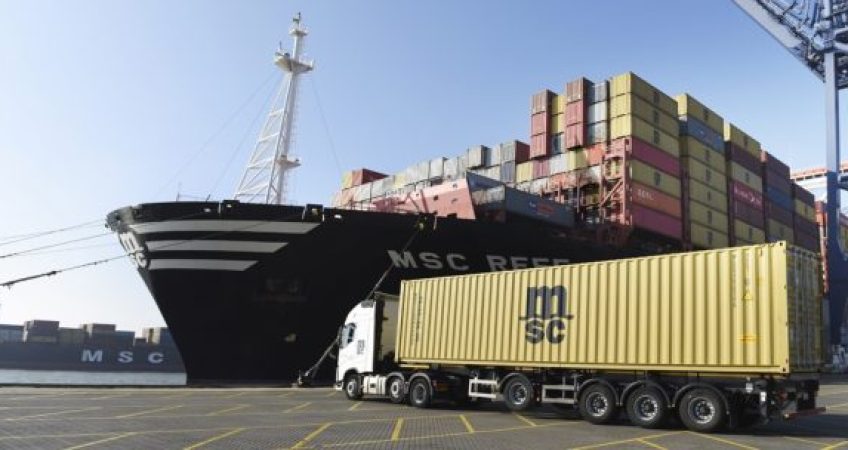 MSC Ra Mắt Dịch Vụ Vận Chuyển Mới: Từ Đông Nam Á Đến Bờ Tây Hoa Kỳ