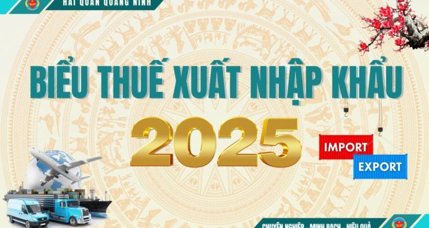 biểu thuế xuất nhập khẩu 2025