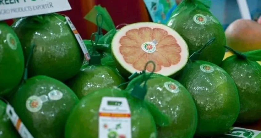 buoi-da-xanh-viet-nam-lan-dau-tien-duoc-xuat-khau-chinh-ngach-sang-australia-advantage-logistics