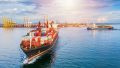 cảng container - advantage logistics