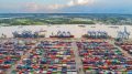 khai hải quan - advantage logistics