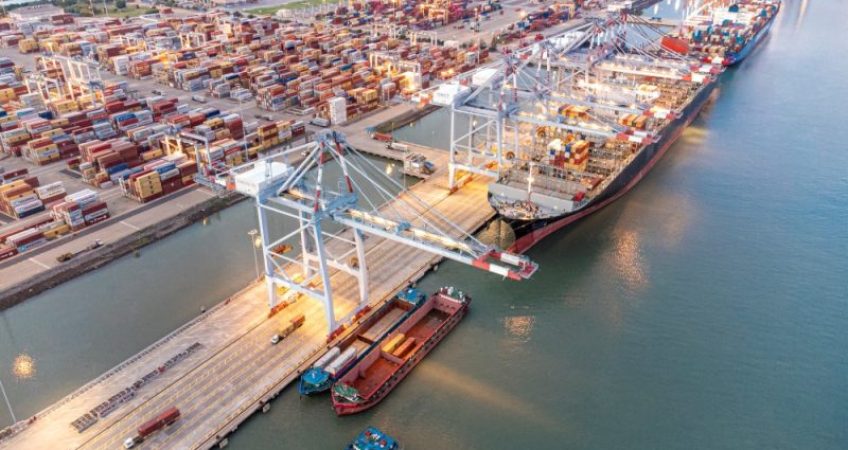 thủ tục hải quan - advantage logistics (2)