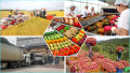 xuất khẩu nông sản - advantage logistics