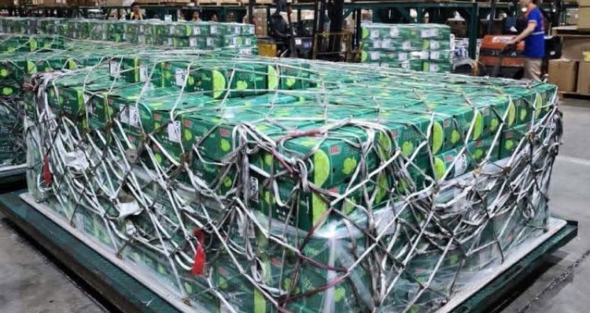 Lần đầu tiên siêu tập đoàn 8 tỷ USD thuê máy bay chở 100 tấn rau quả Việt sang tiêu thụ
