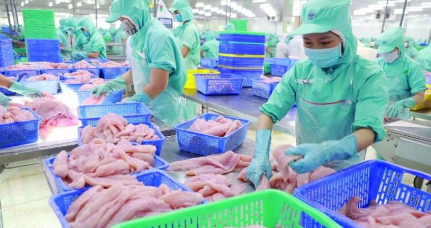 xuất khẩu cá tra